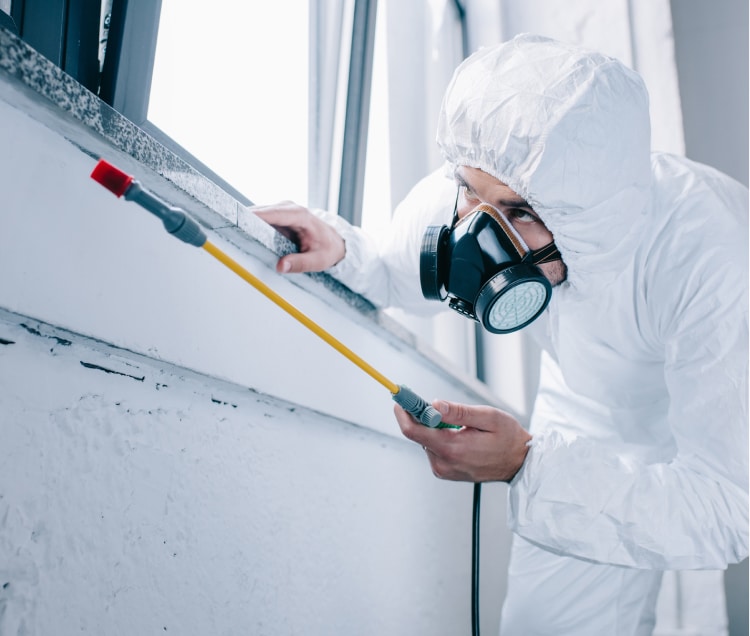 A cleaning professional in protective gear thoroughly cleans a surface for pest control using high-quality equipment.
