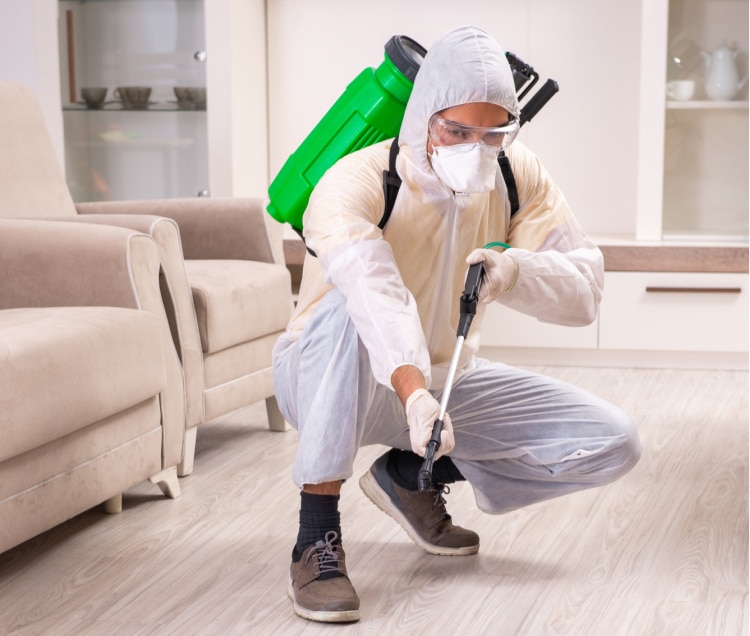 A person in protective gear is performing home cleaning for pest control using premium equipment.